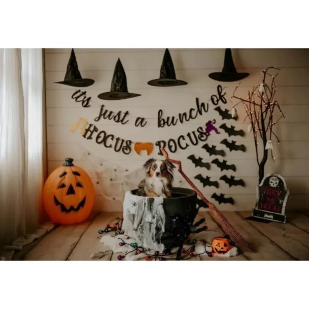 12 Pieces Halloween Yard‎ Decoration Costume Witch Hat